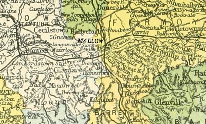 Moyalle (Mallow)